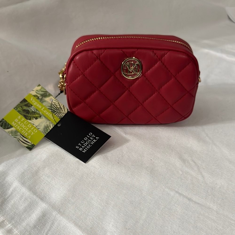 Badgley Mischka Small Cahin Camera Bag Purse